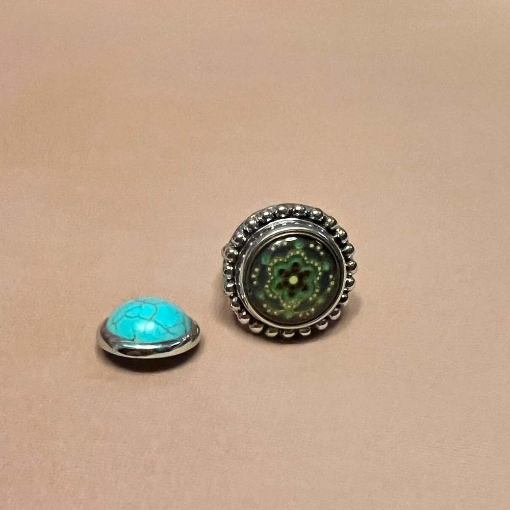 Ginger snap ring set- 2 snaps included